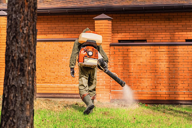 Top rated local Mosquito Control specialists in Mound City, MO